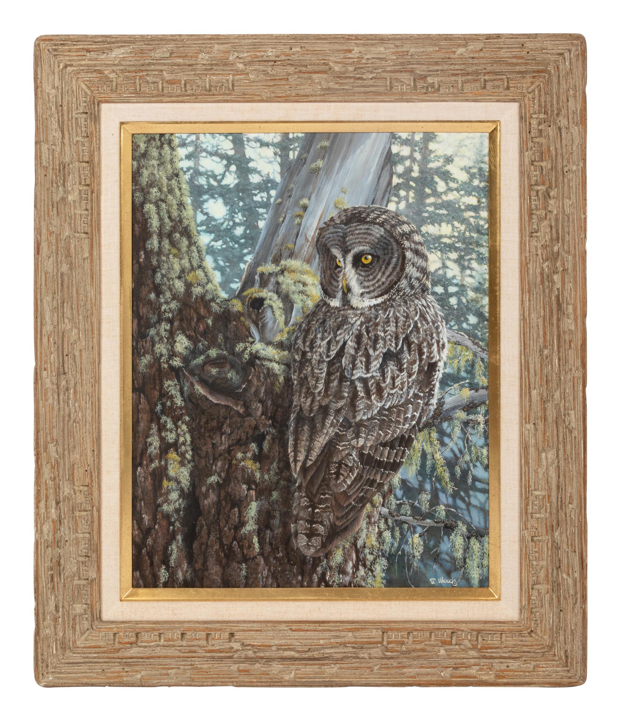 Forest Eyes , 1993