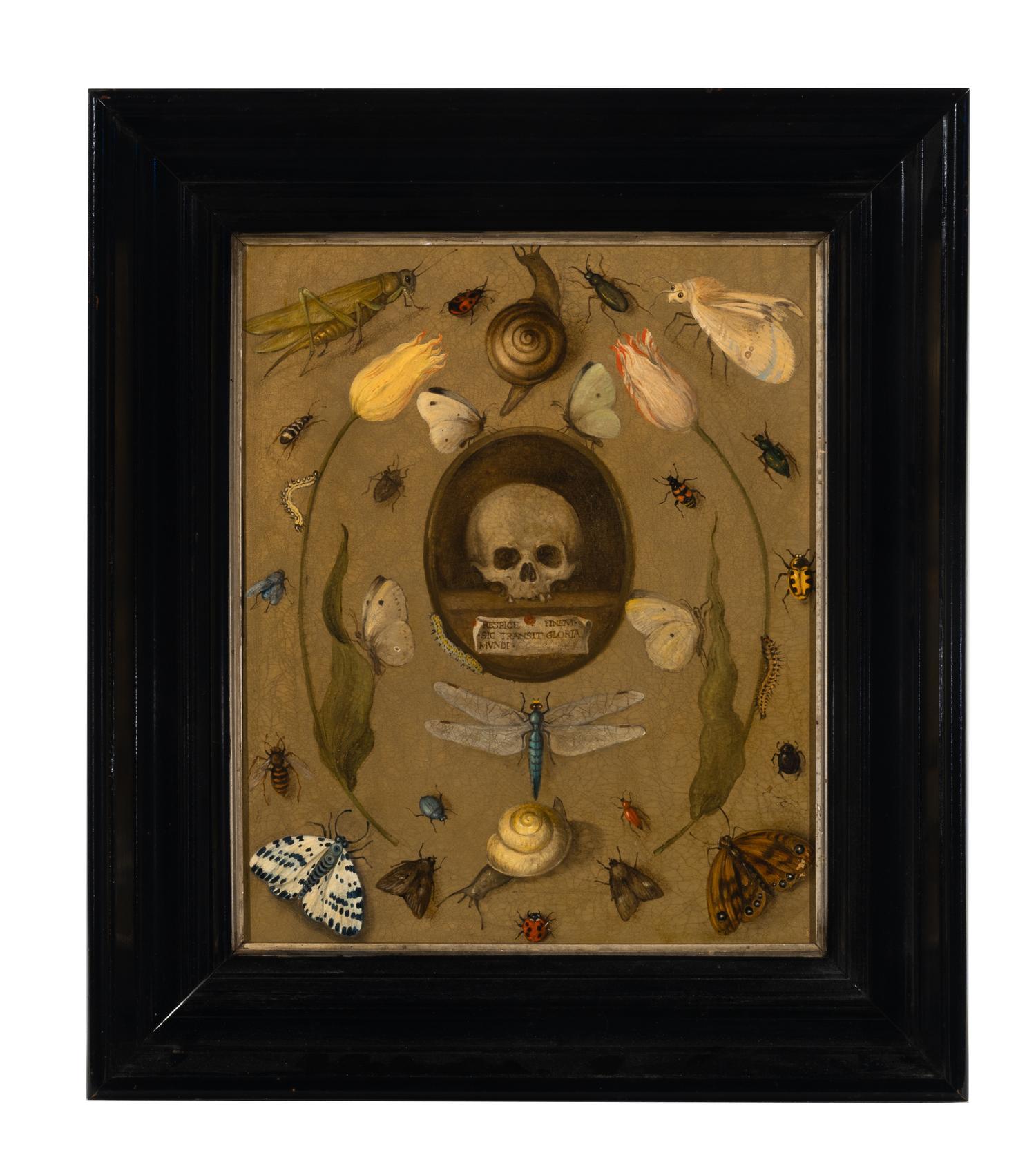 Follower of Joris Hoegfnagel (Flemish, 1542-1601) — Vanitas Still Life with Insects
