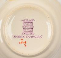 A Spode Campagna Ironstone Dinner Service