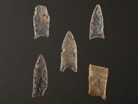 A Group of Paleo Points