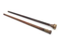 Two English Silver and Brass Mounted Explorer's Walking Sticks