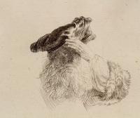 Old Man shading his Eyes with his Hand , ca. 1639