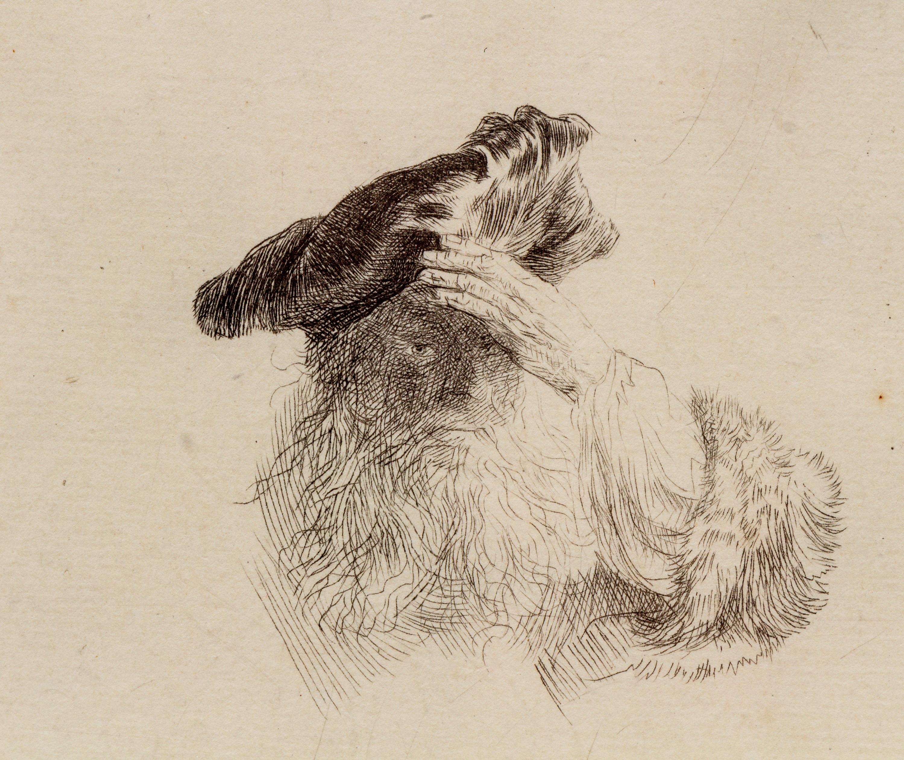 Old Man shading his Eyes with his Hand , ca. 1639