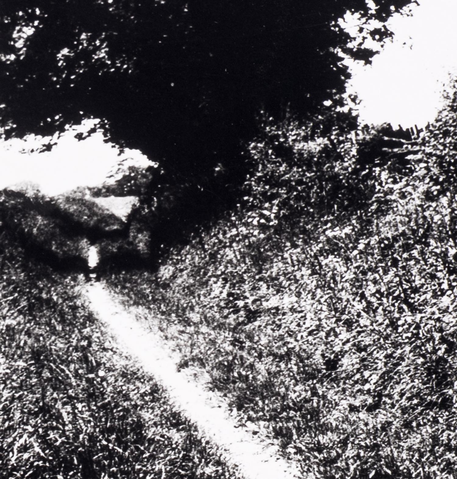 Bill Brandt (1904–1983) Pilgrim's Way, Kent, 1950