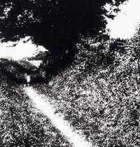 Bill Brandt (1904–1983) Pilgrim's Way, Kent, 1950