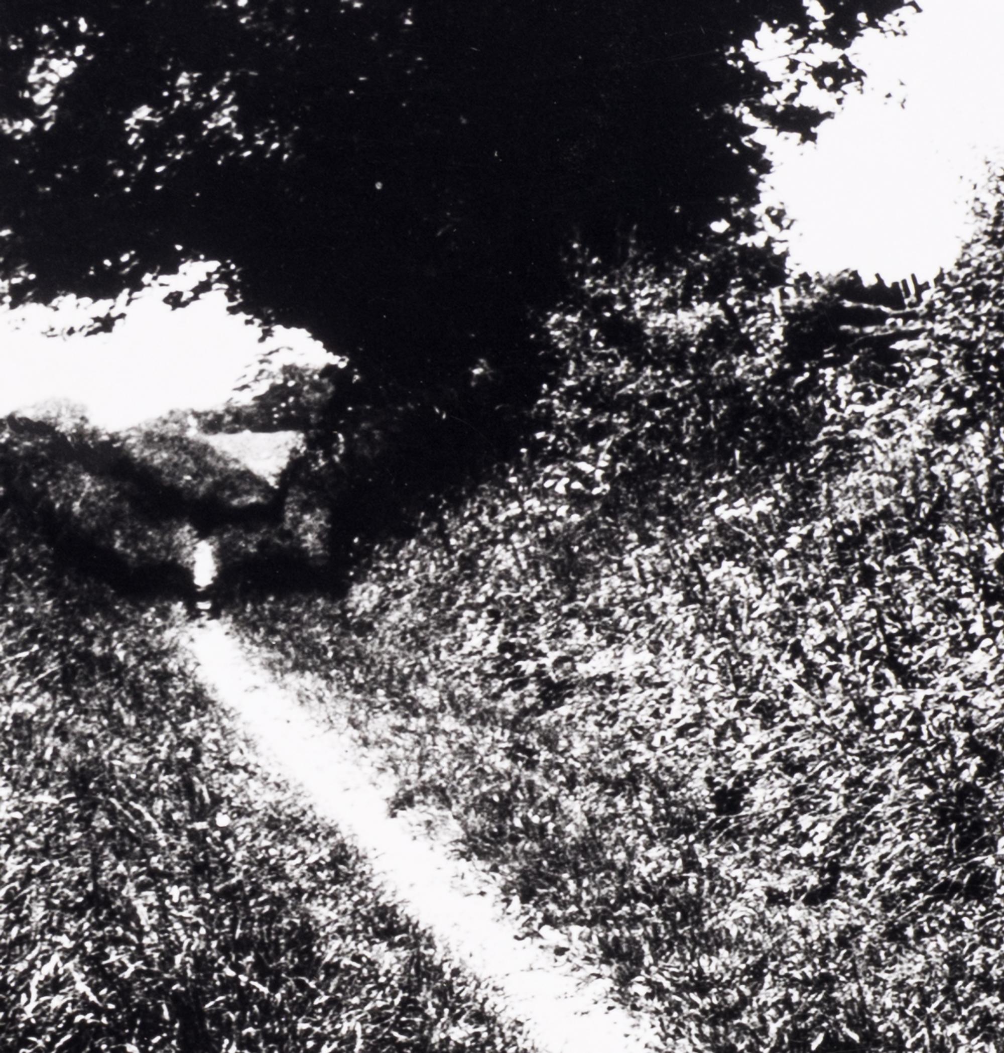 Bill Brandt (1904–1983) Pilgrim's Way, Kent, 1950