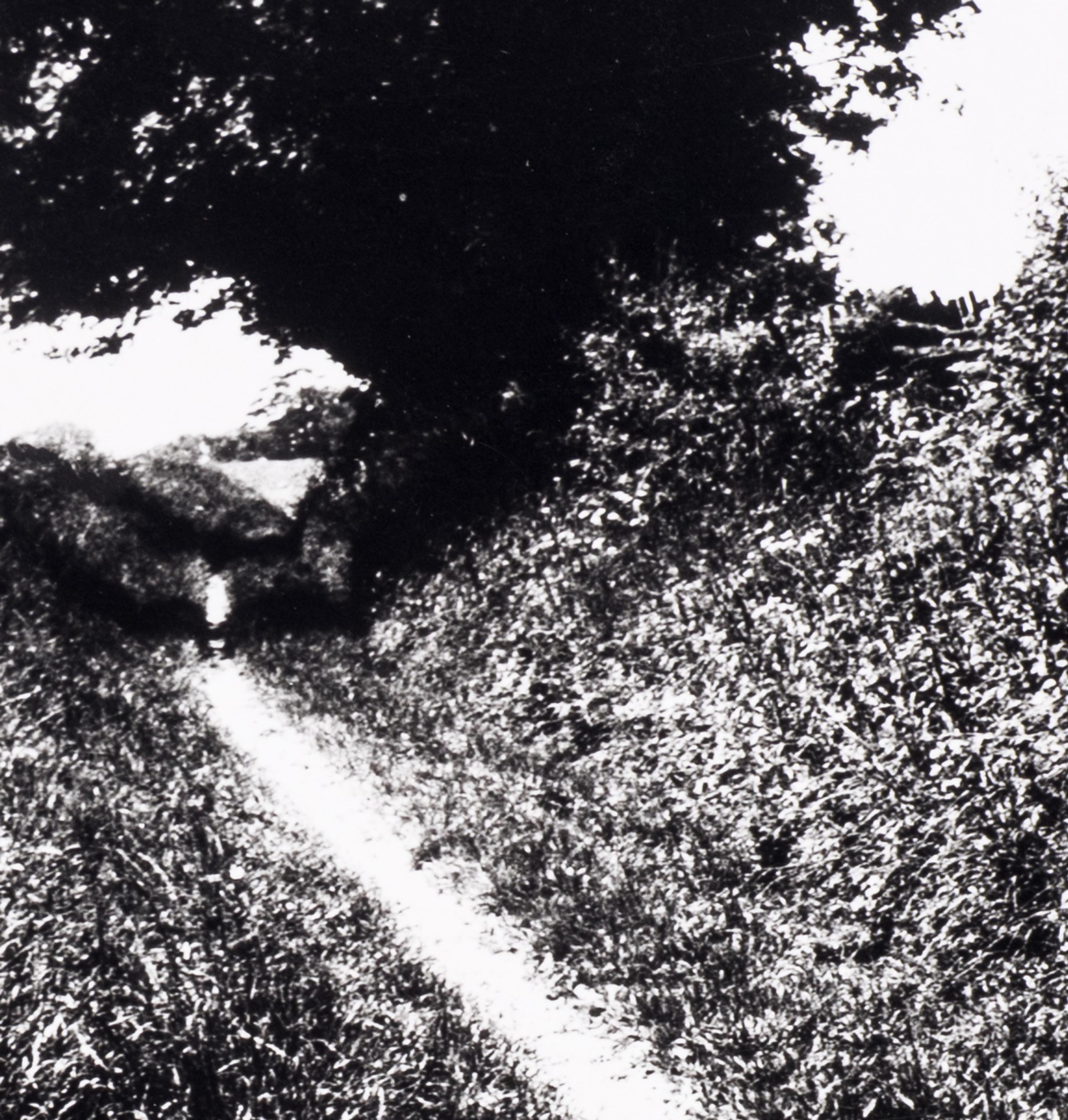 Bill Brandt (1904–1983) Pilgrim's Way, Kent, 1950