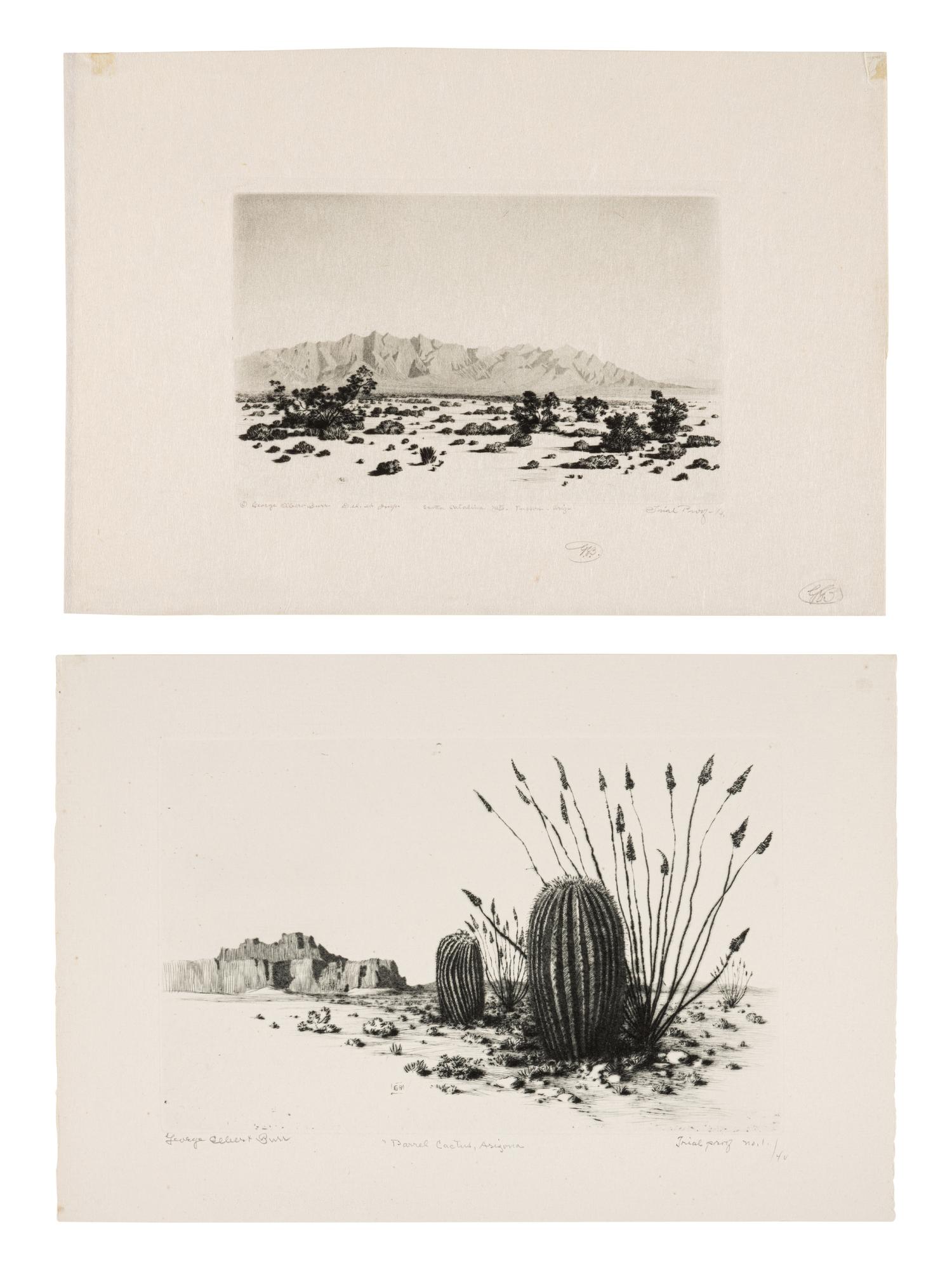 Two Works: Barrel Cactus, Arizona and Santa Catalina Mts, Tuscon, Arizona