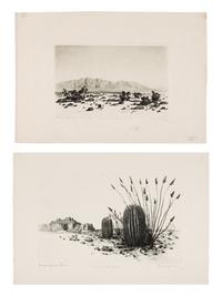 Two Works: Barrel Cactus, Arizona and Santa Catalina Mts, Tuscon, Arizona