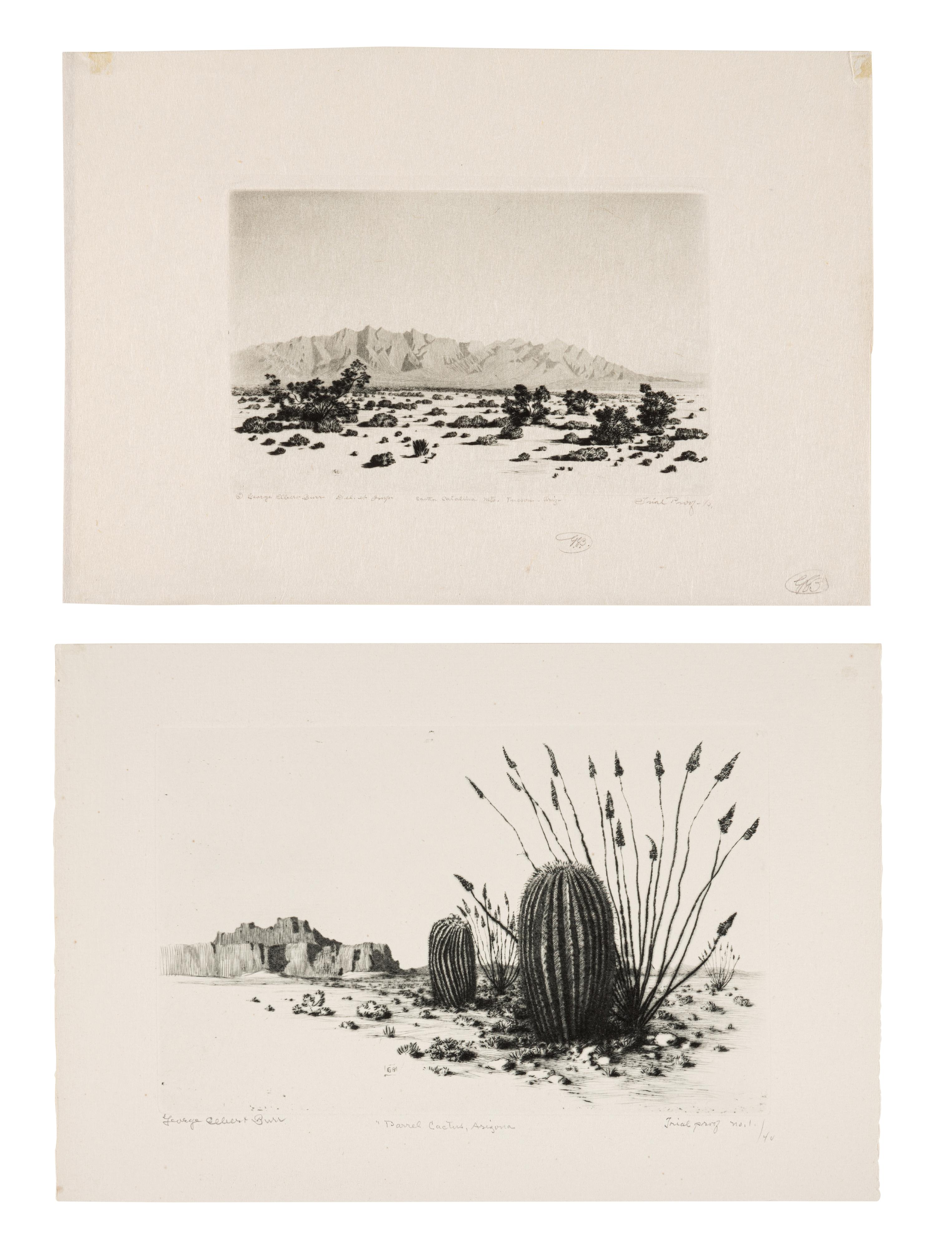 Two Works: Barrel Cactus, Arizona and Santa Catalina Mts, Tuscon, Arizona