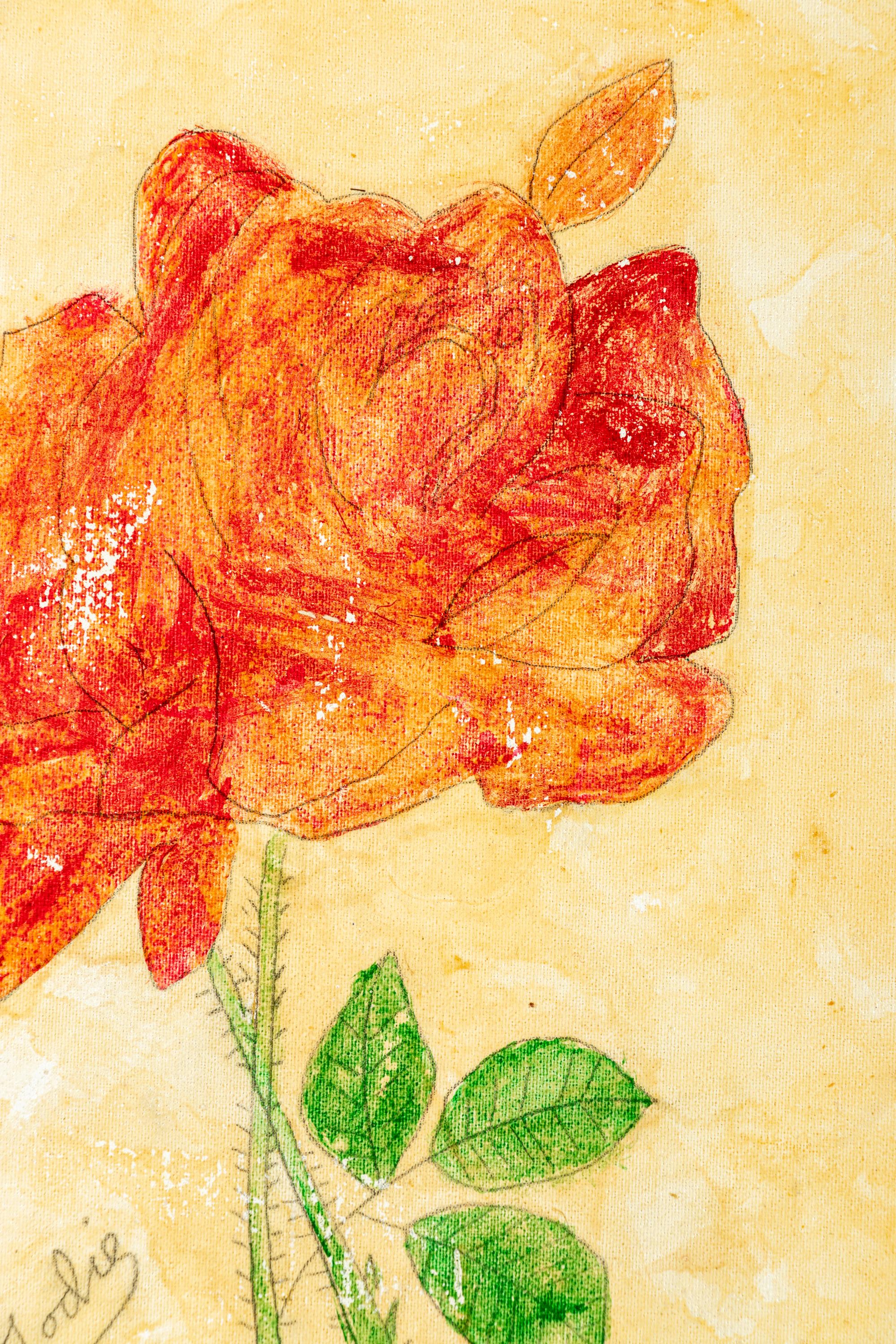 Rose