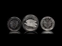 [PRIVATE ISSUE] A Collection of Six Large-Size Silver Rounds