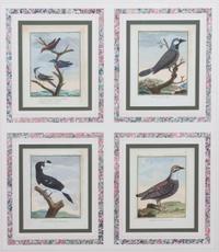 A Collection of Twelve Hand-Colored Ornithological Prints Height of each plate 9 1/2 x width 7 1/4 inches.