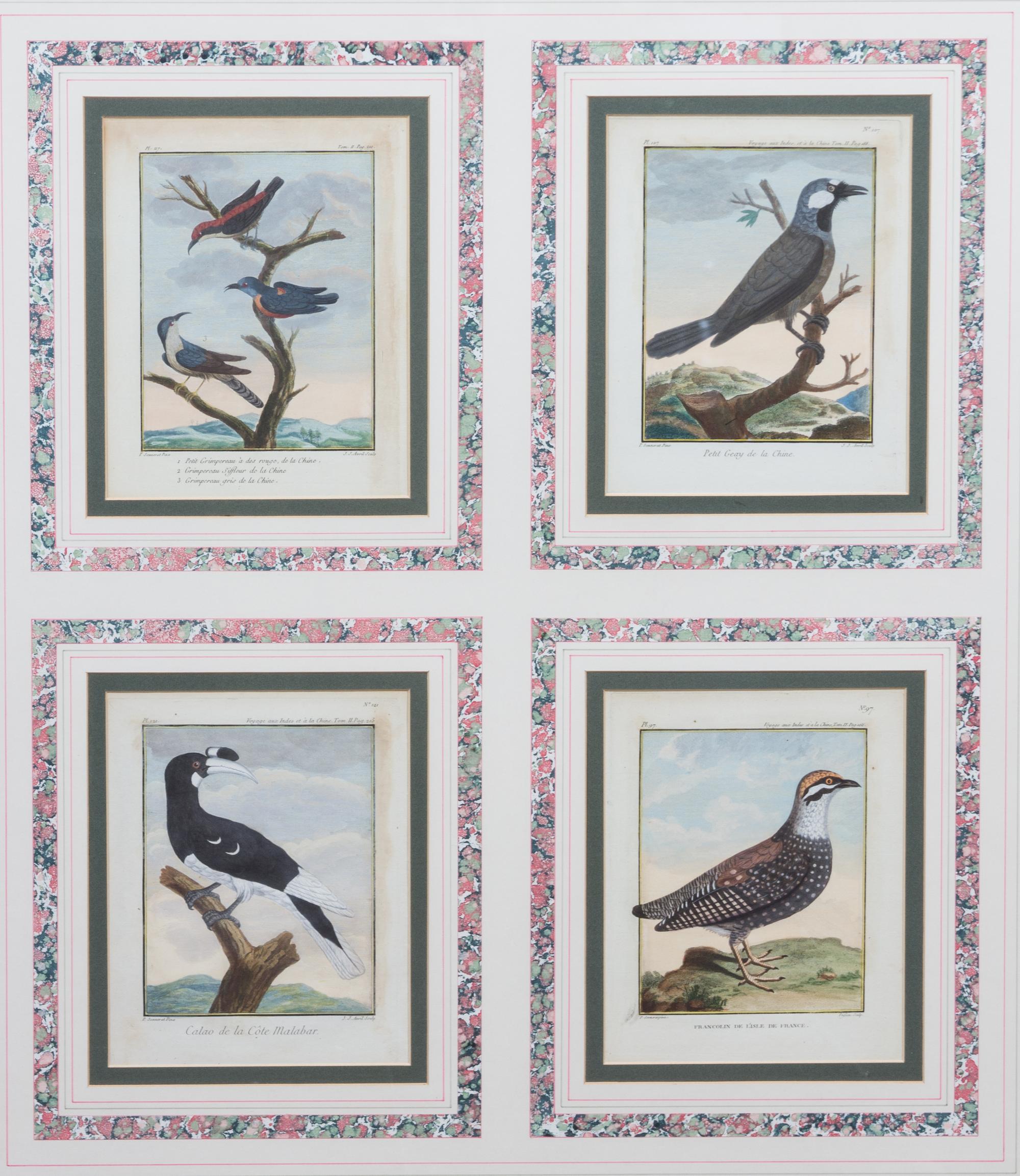 A Collection of Twelve Hand-Colored Ornithological Prints Height of each plate 9 1/2 x width 7 1/4 inches.