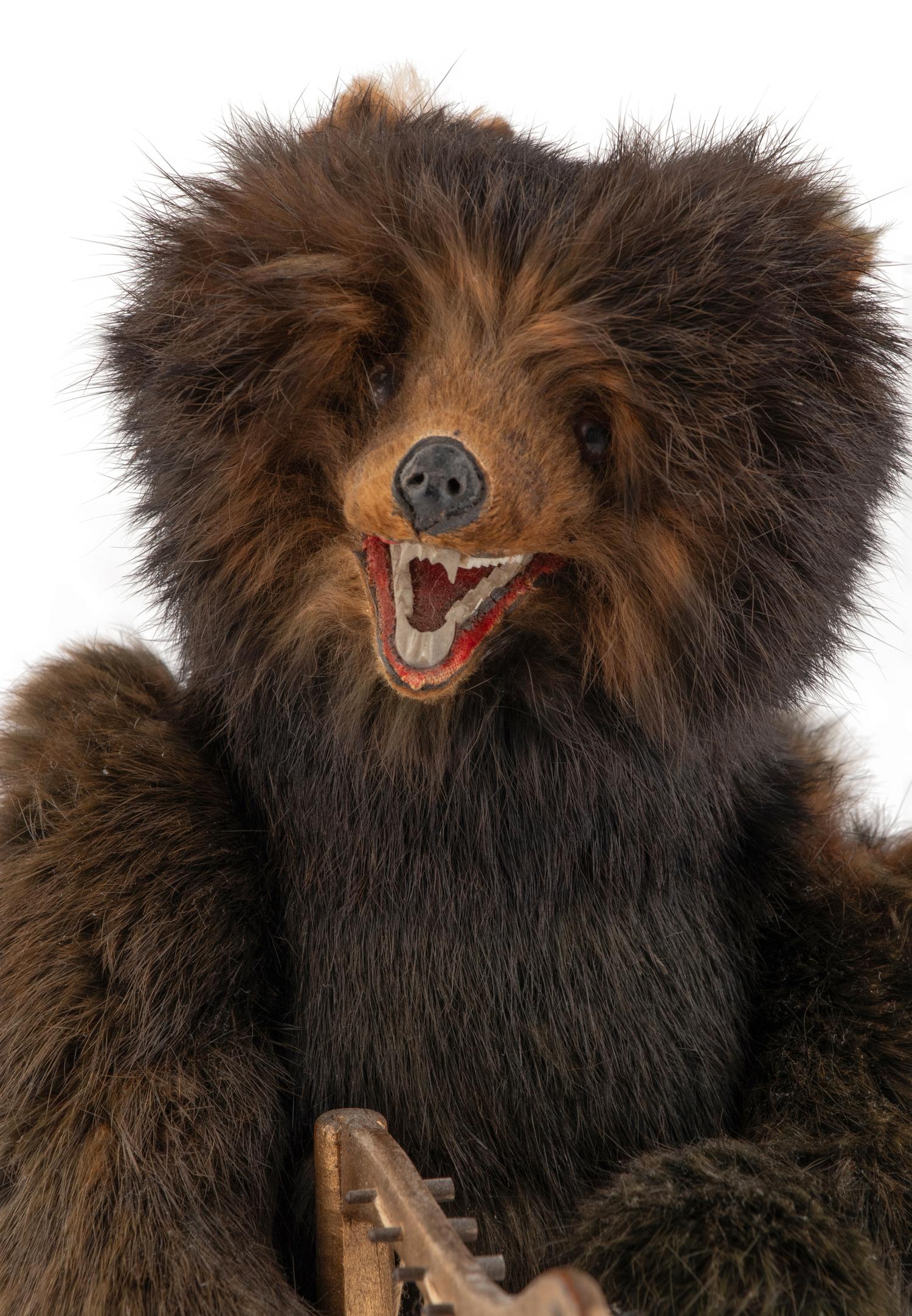 A Musical Bear Automaton