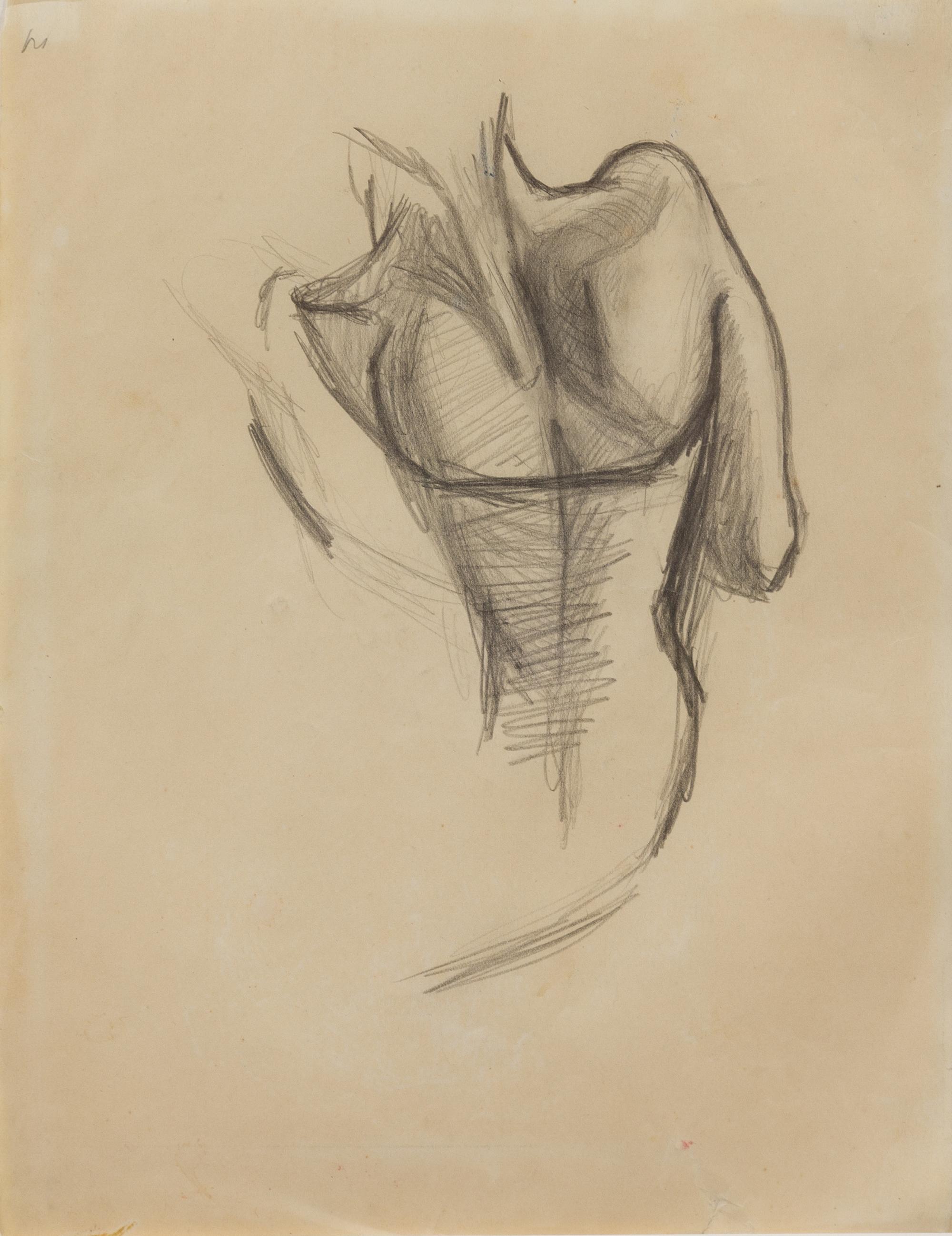Thomas Hart Benton, (American, 1889-1975), Male Torso, c. 1930