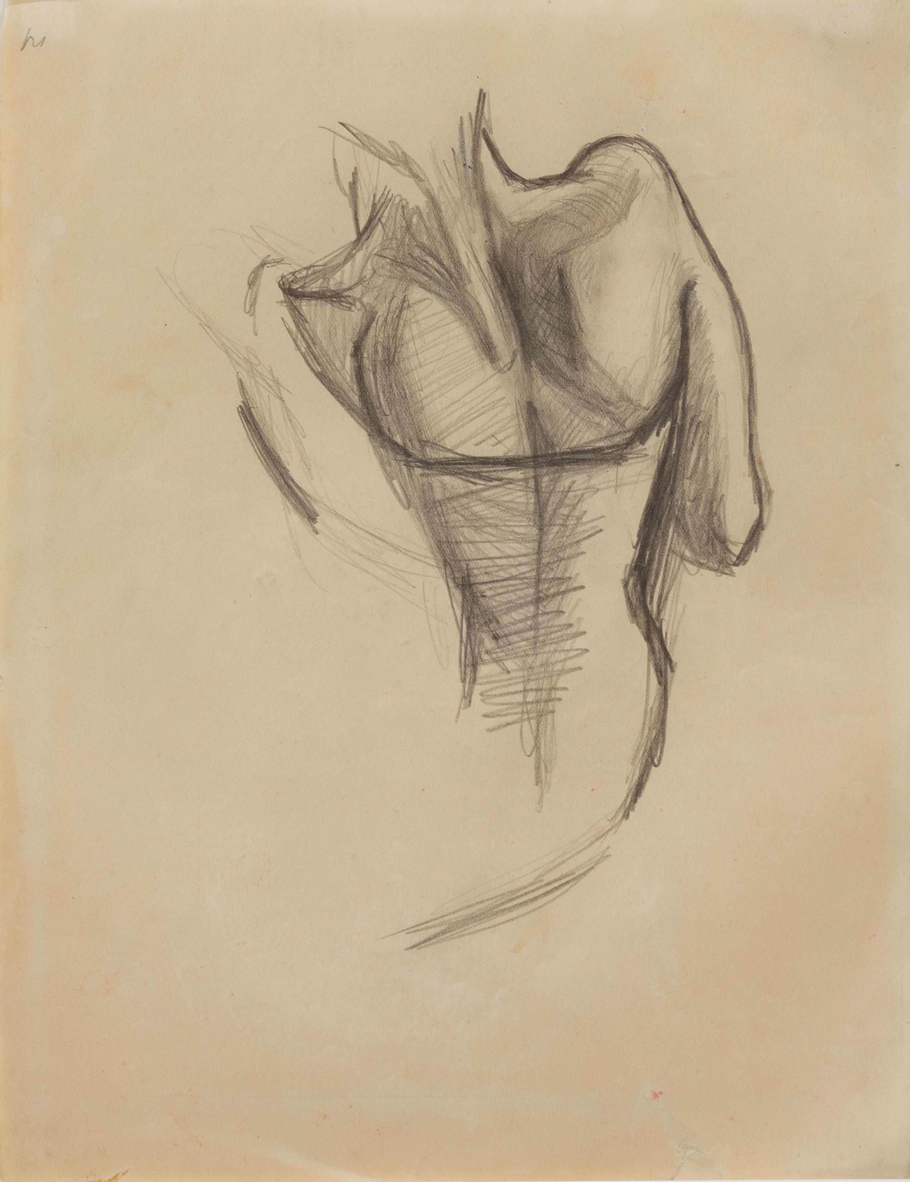 Thomas Hart Benton, (American, 1889-1975), Male Torso, c. 1930