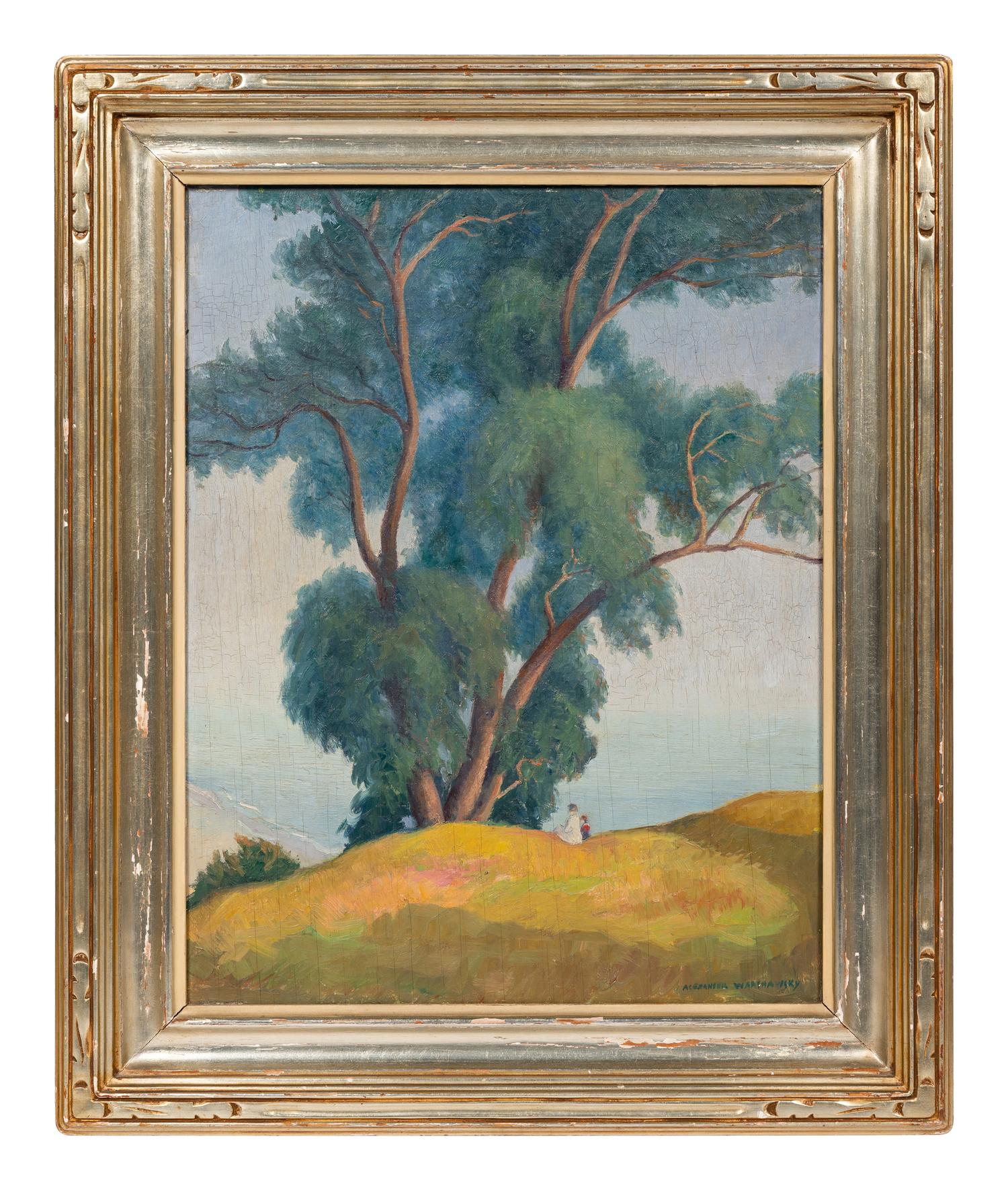 Eucalyptus Trees, Santa Monica Palisades, California