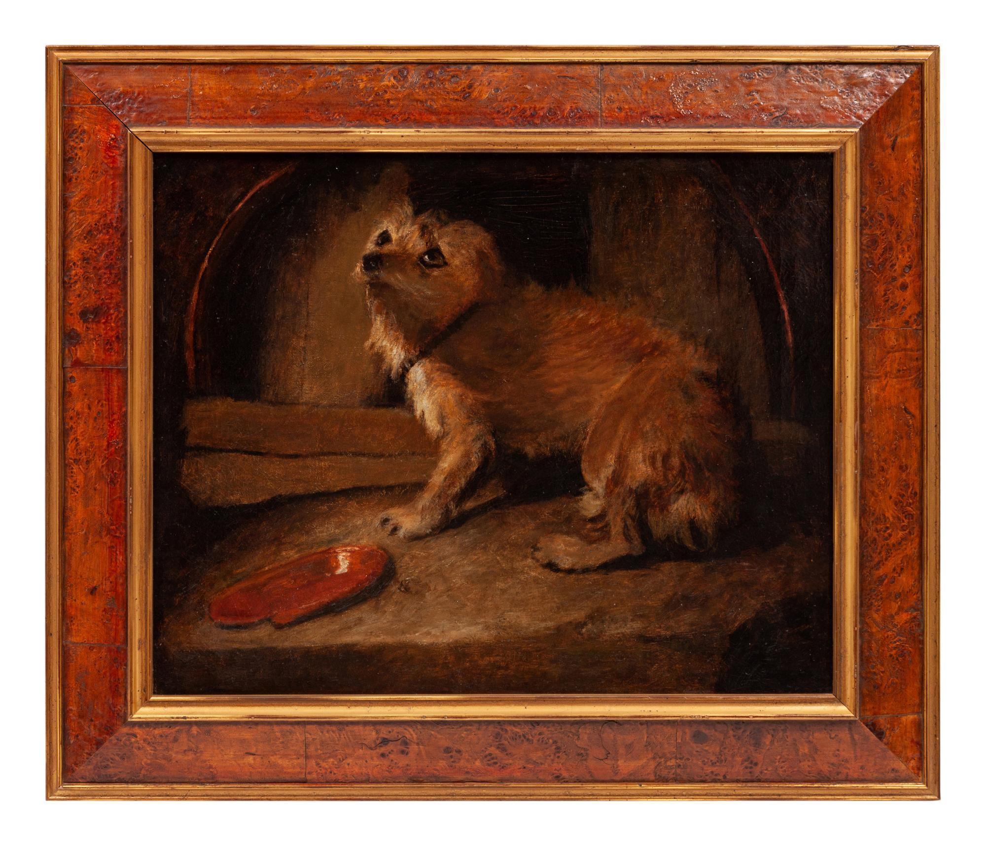 A 19th Century English School Portrait of a Dog