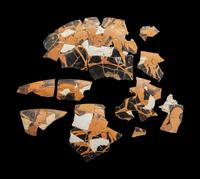12 Attic Red-Figured Type B Cup Fragments