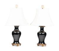 A Pair of Gilt Bronze Mounted Chinese Porcelain Vases Mounted as Lamps
