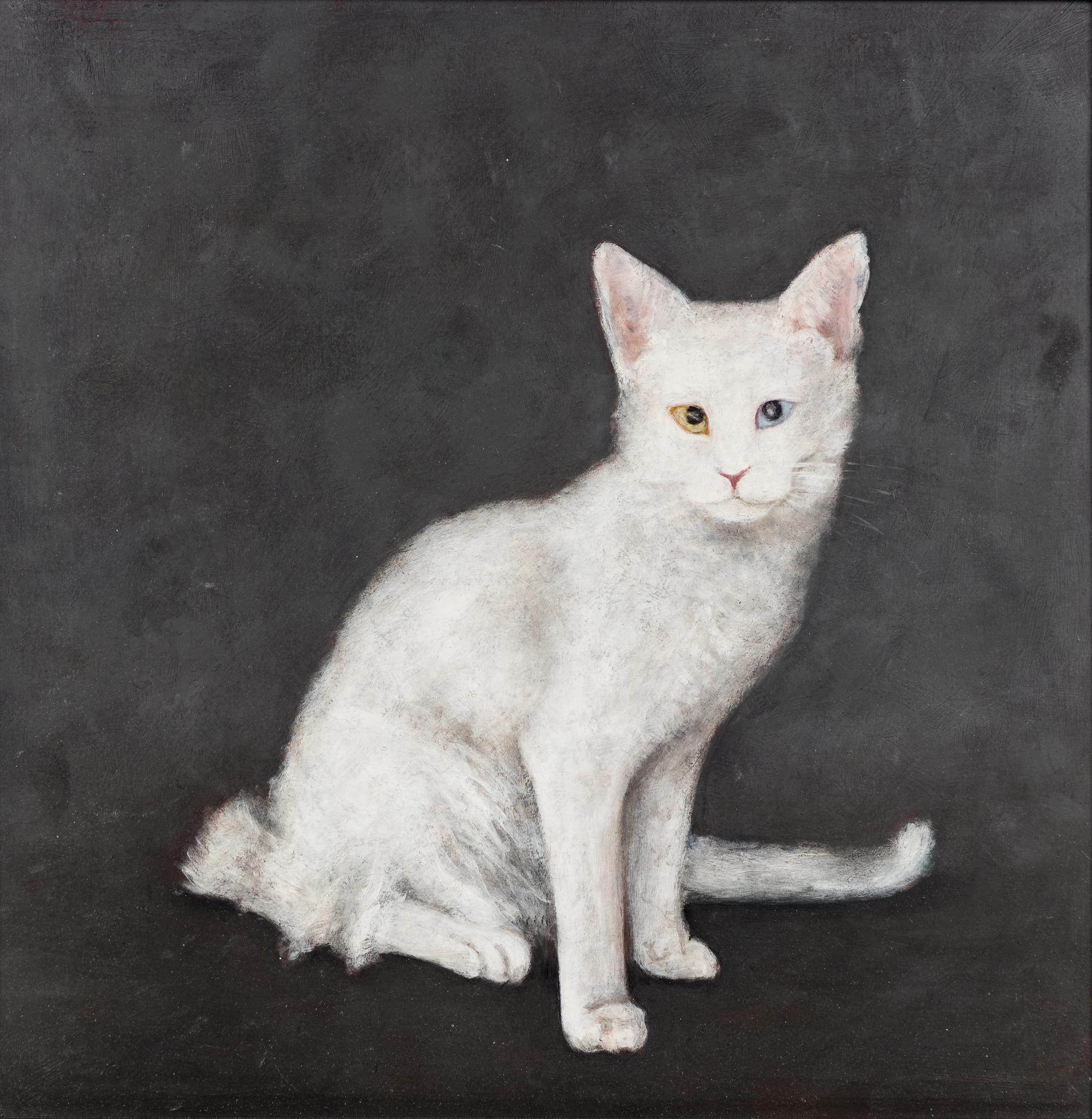 Deaf Cat