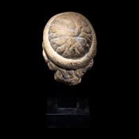 A Roman Marble Head of Asclepius