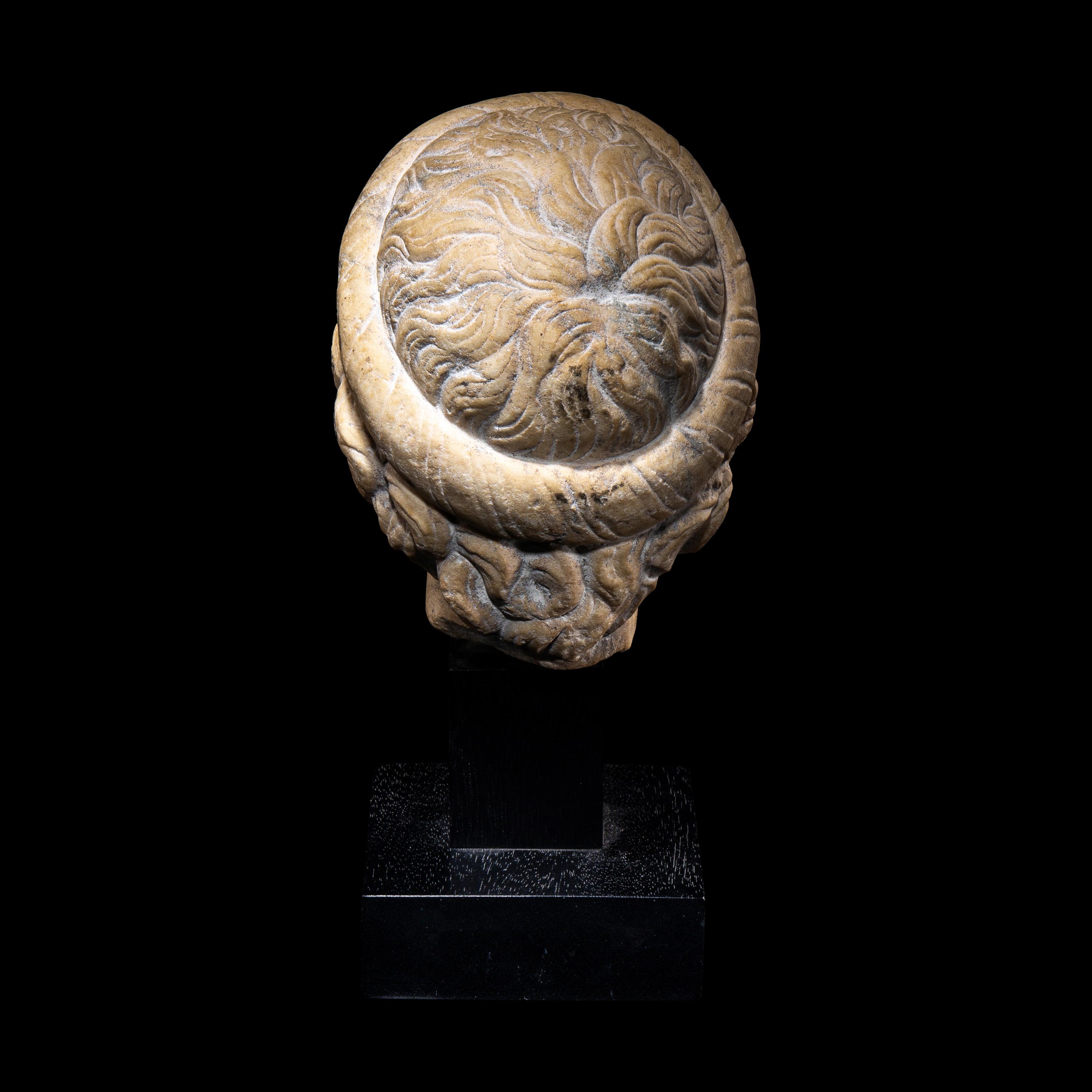 A Roman Marble Head of Asclepius