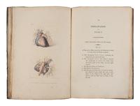 [SCIENCE & MEDICINE]. A group of 5 works on anatomy, comprising: