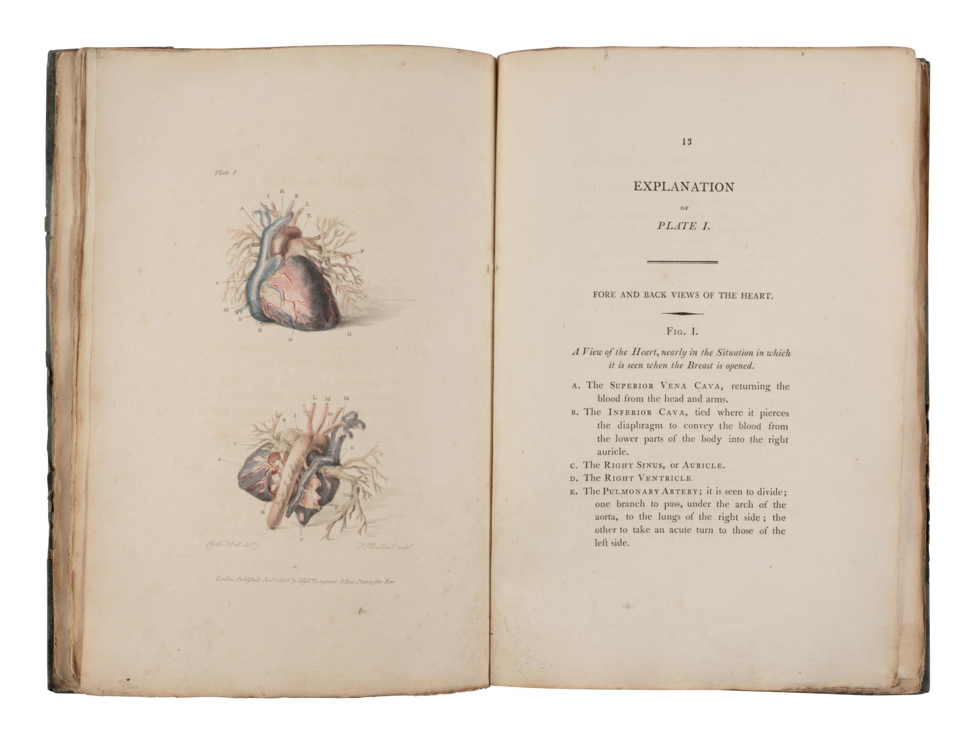 [SCIENCE & MEDICINE]. A group of 5 works on anatomy, comprising: