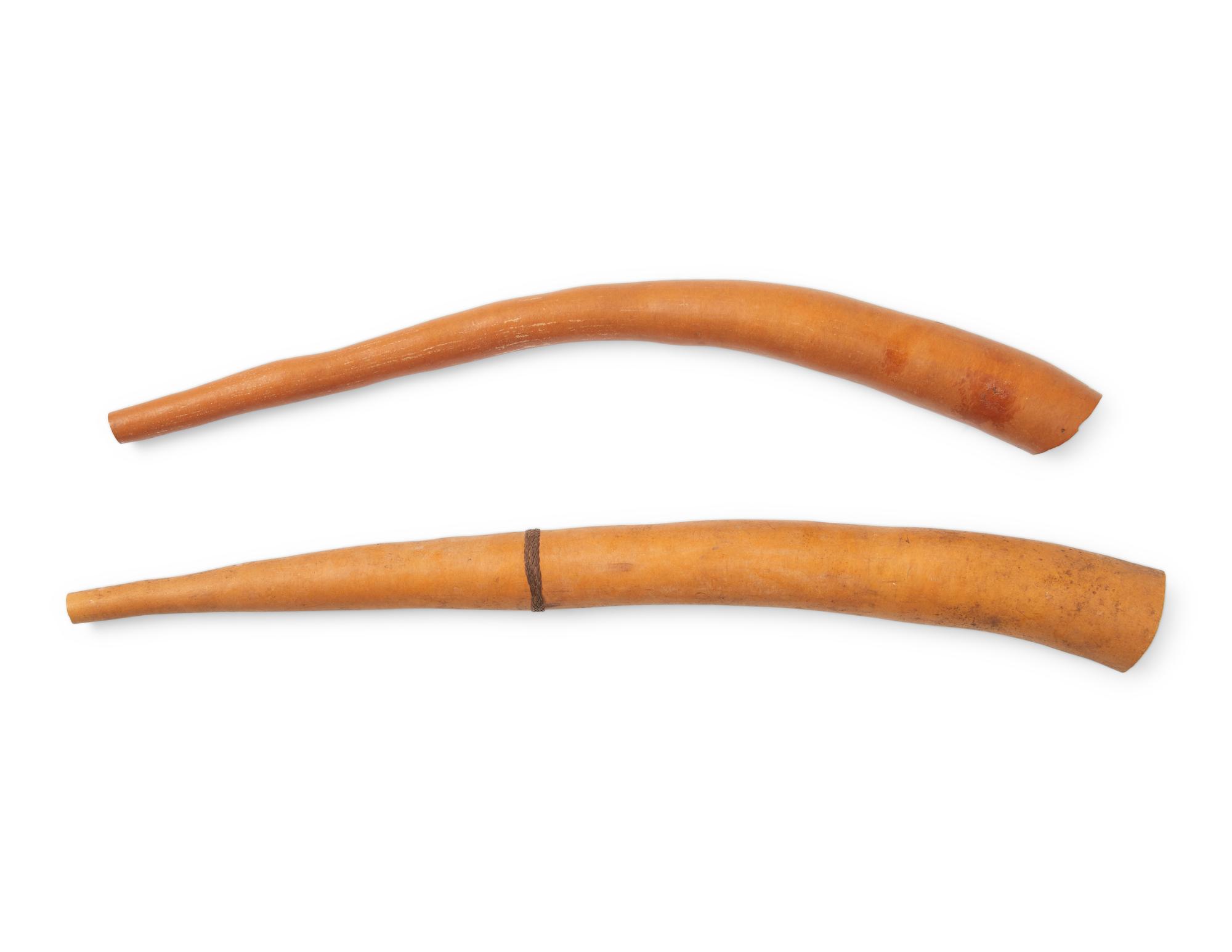 Two Asmat Kotekas