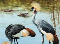 Pair of Cranes , 2005