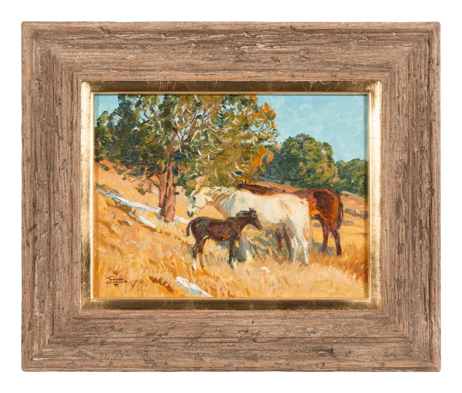 Cedar Pastures
