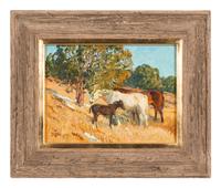 Cedar Pastures