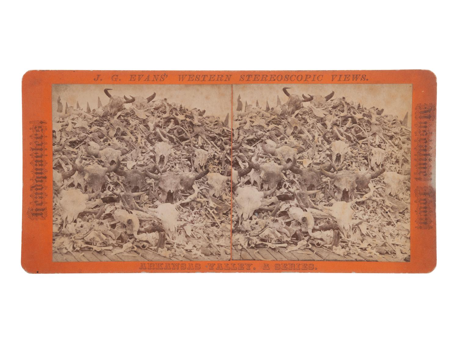 [WESTERN AMERICANA]. EVANS, J.G., photographer. Buffalo Bone Yard .