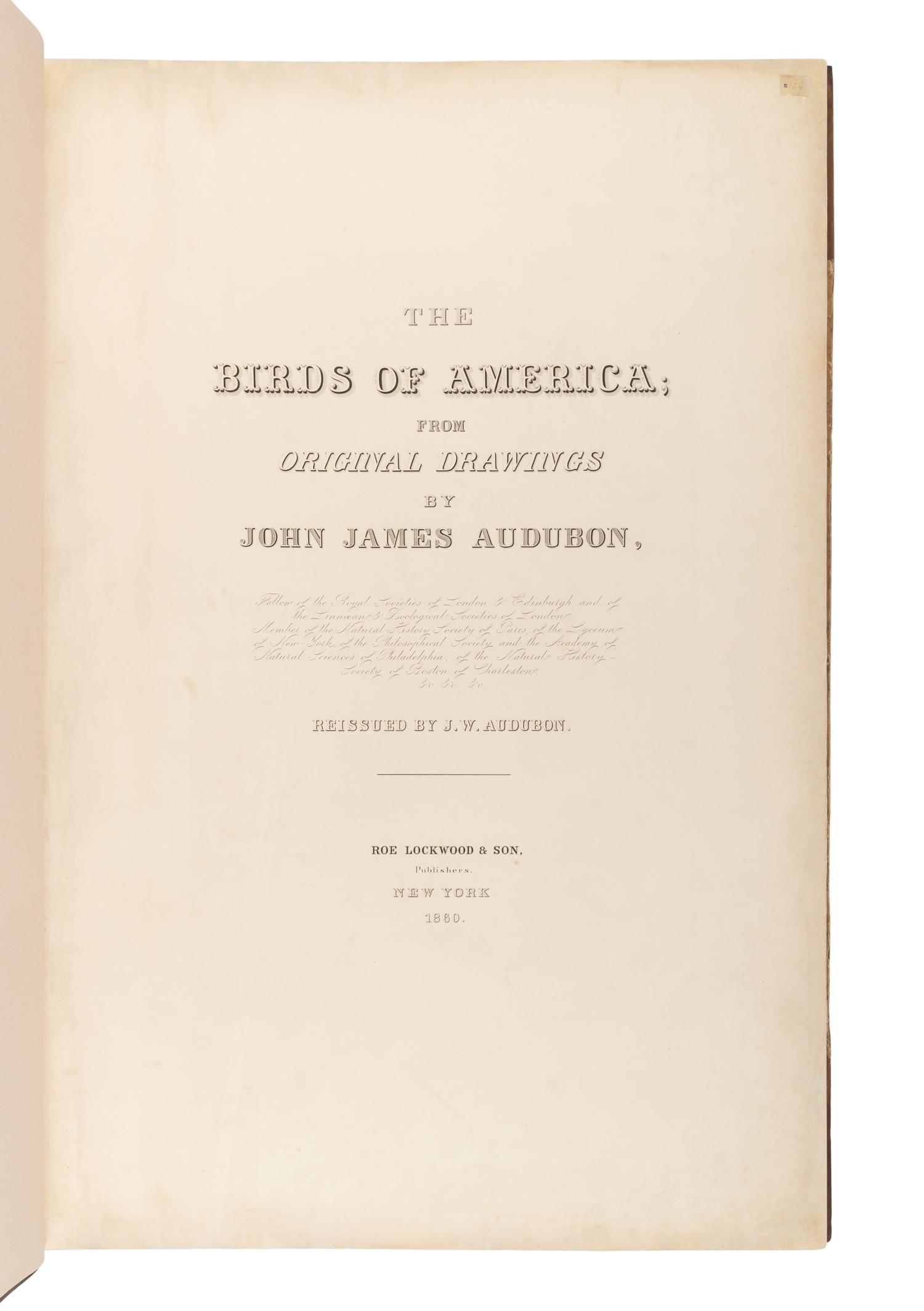AUDUBON, John James (1785-1851). The Birds of America, from Original Drawings by John James Audubon...Reissued by J [ ohn ] W [ oodhouse ] Audubon . New York: Roe Lockwood & Son, 1860.
