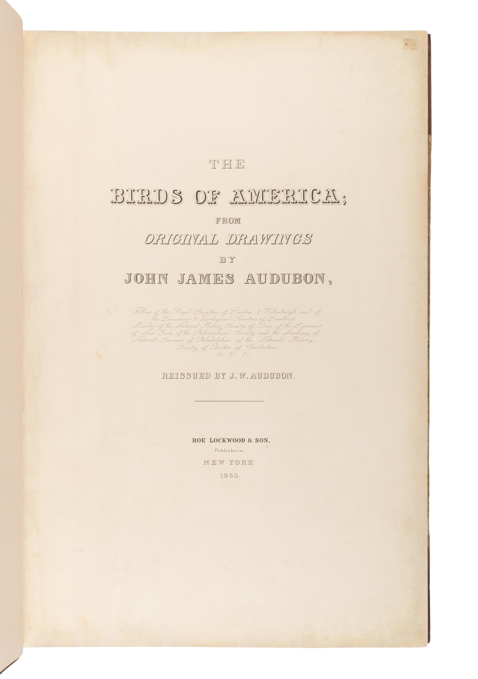 AUDUBON, John James (1785-1851). The Birds of America, from Original Drawings by John James Audubon...Reissued by J [ ohn ] W [ oodhouse ] Audubon . New York: Roe Lockwood & Son, 1860.