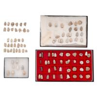 Large Group of Dug Dropped & Fired Civil War Bullets