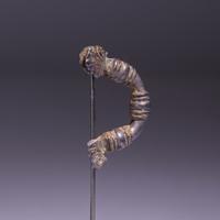 A Greek Bronze Fibula