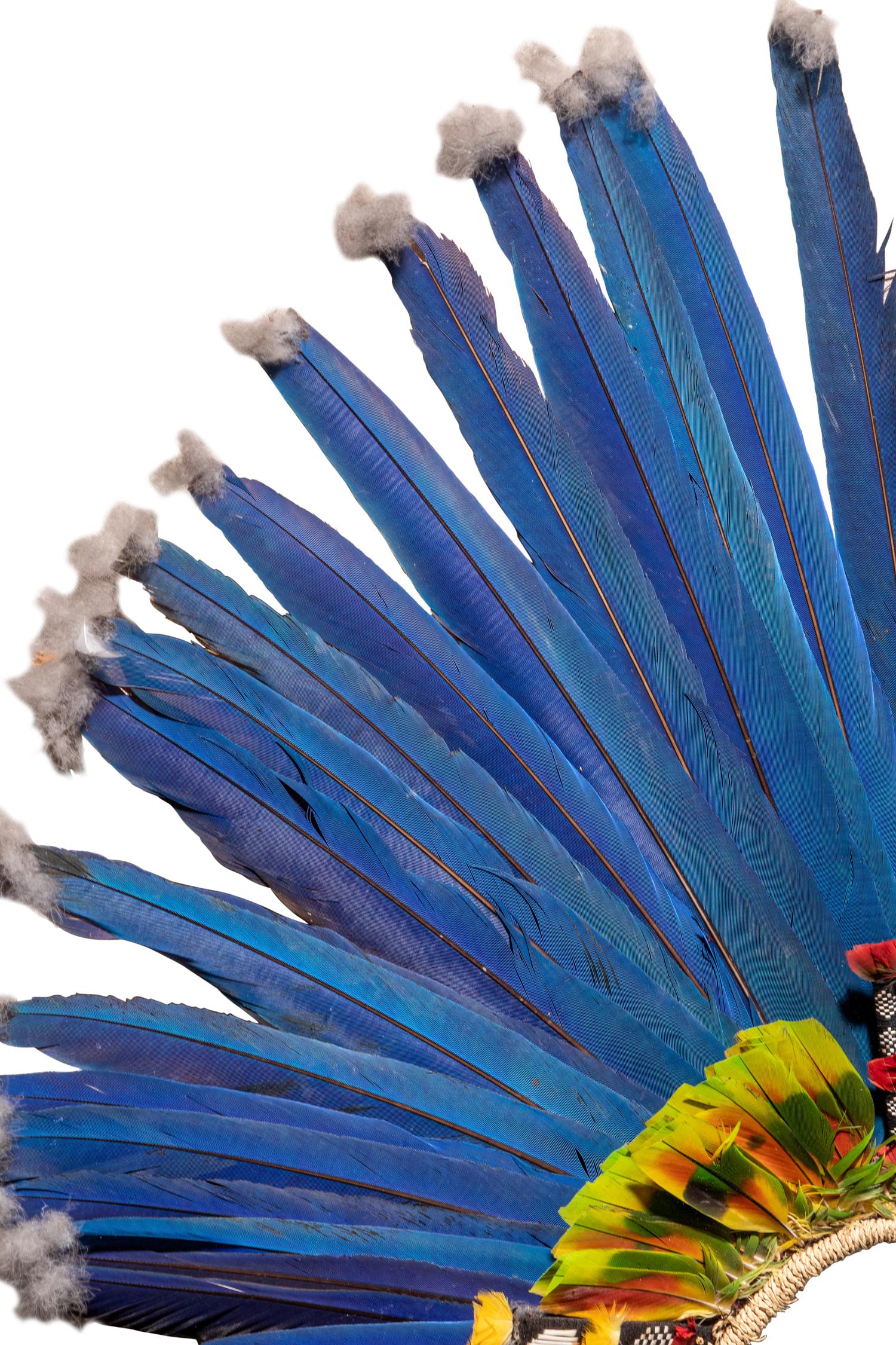 A Juruna Feather Headdress