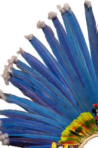 A Juruna Feather Headdress