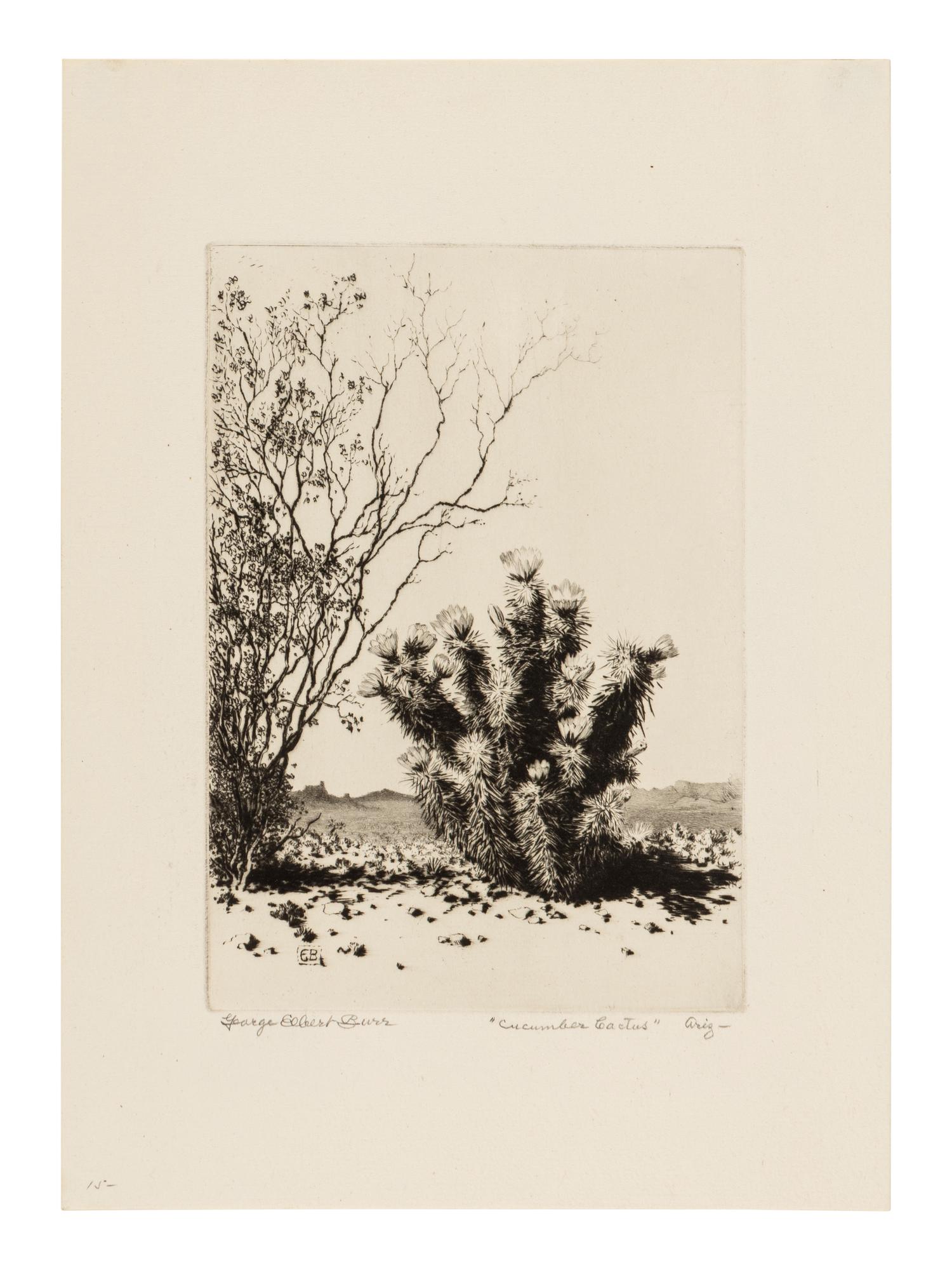 Two Works: Cucumber Cactus and Joshua Trees