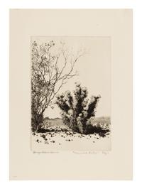 Two Works: Cucumber Cactus and Joshua Trees