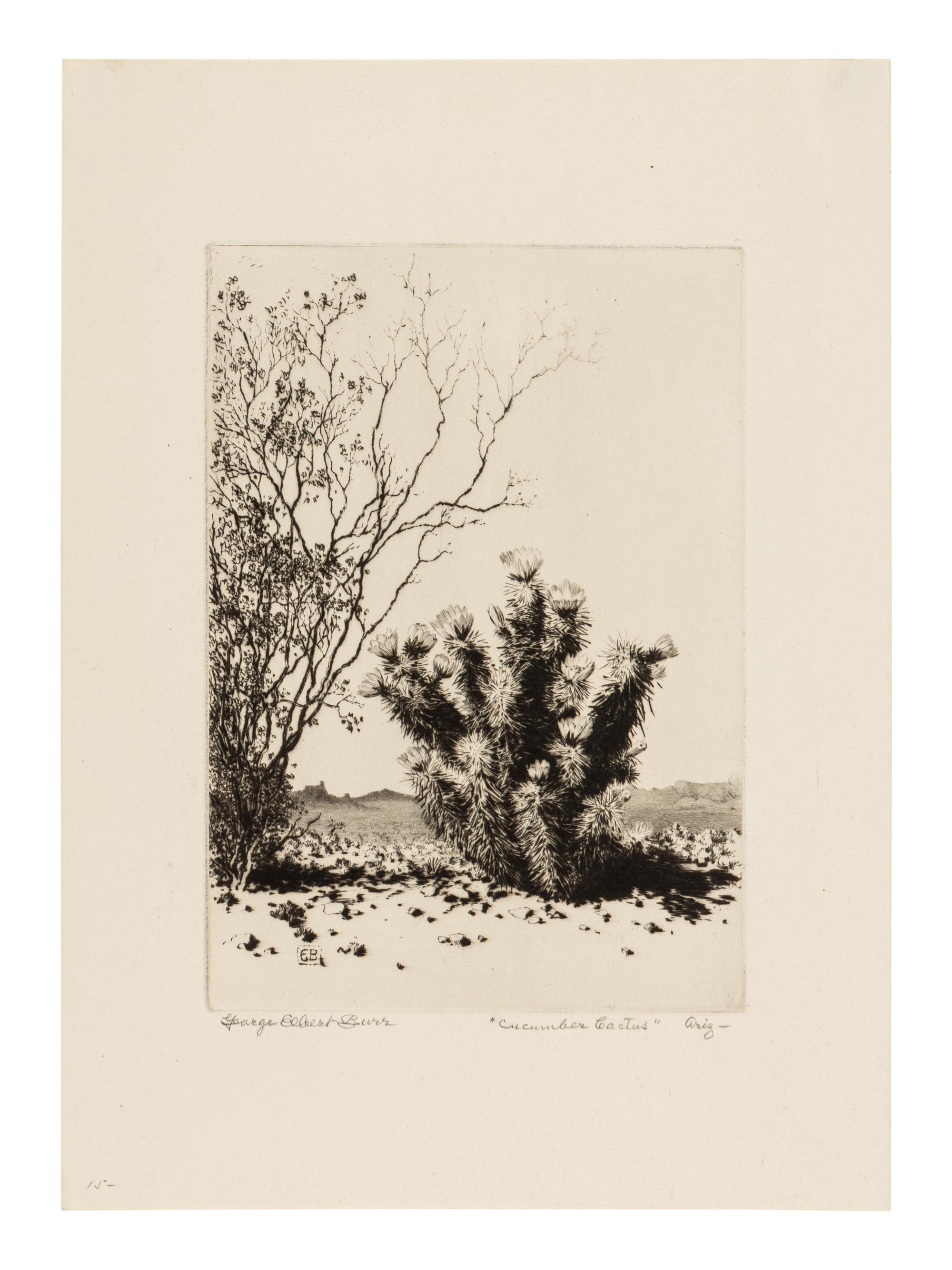 Two Works: Cucumber Cactus and Joshua Trees