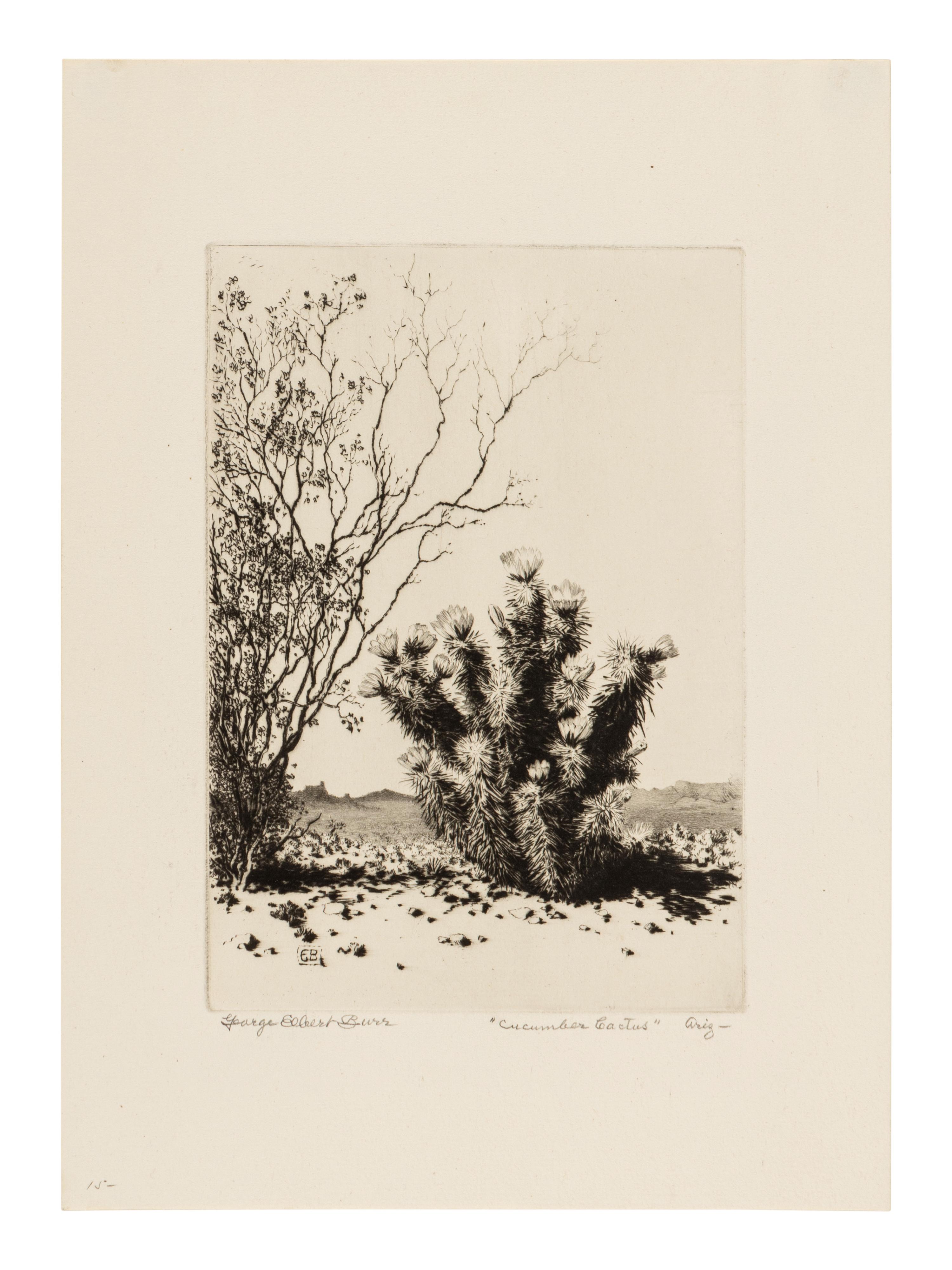 Two Works: Cucumber Cactus and Joshua Trees
