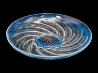 Poisson Plate