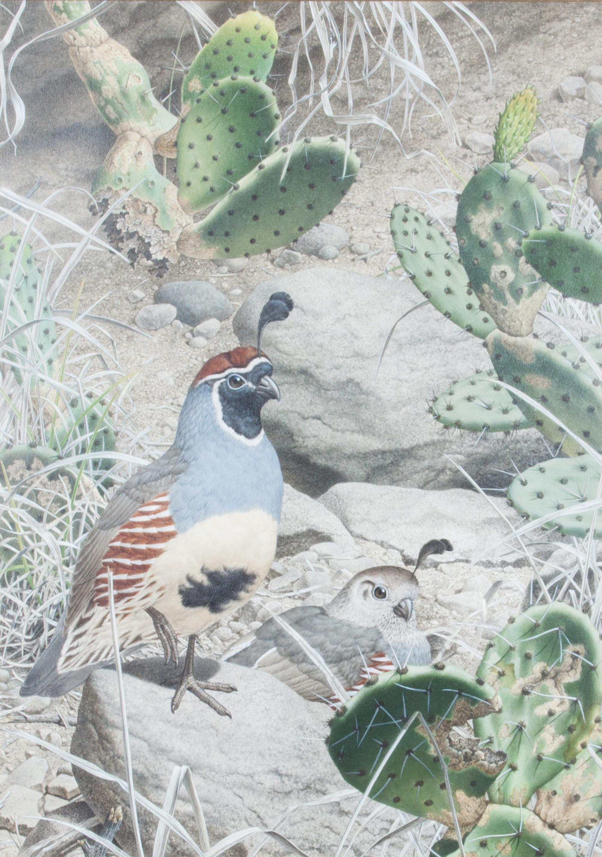 Axel Amuchastegui, (Argentinean, 1921-2002), Gambel's Quail, 1983