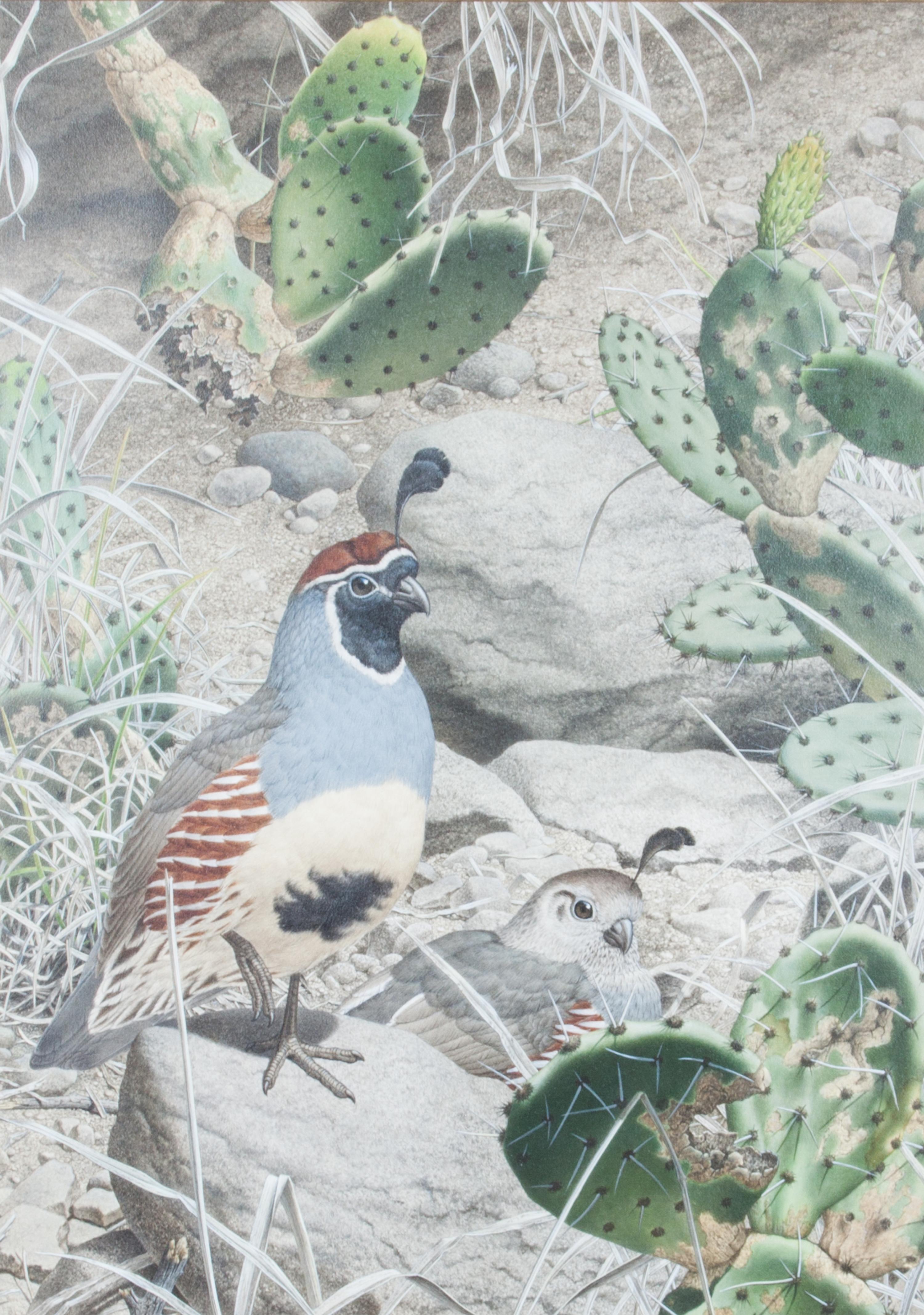 Axel Amuchastegui, (Argentinean, 1921-2002), Gambel's Quail, 1983