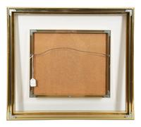 Untitled (Agamograph)