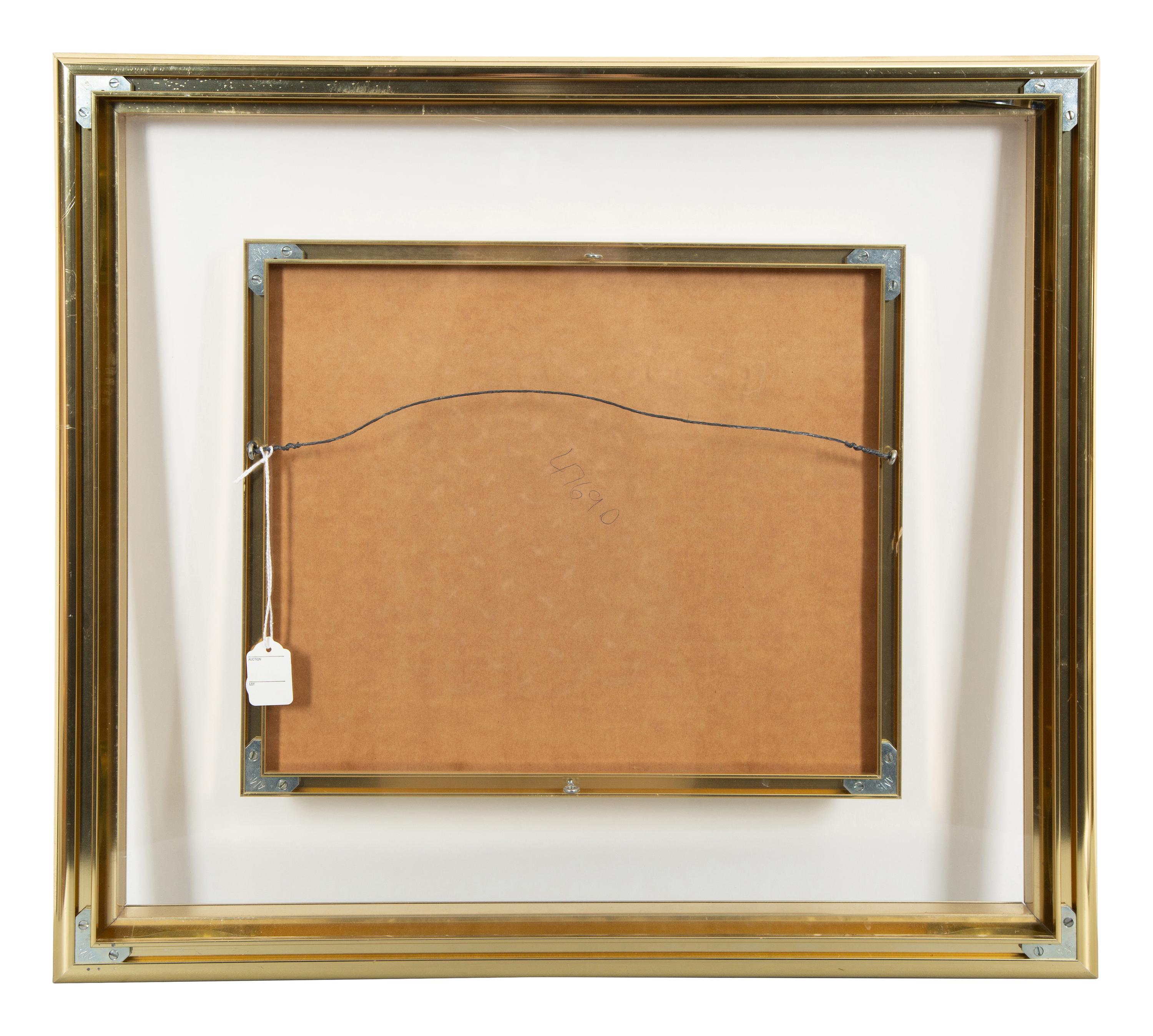 Untitled (Agamograph)
